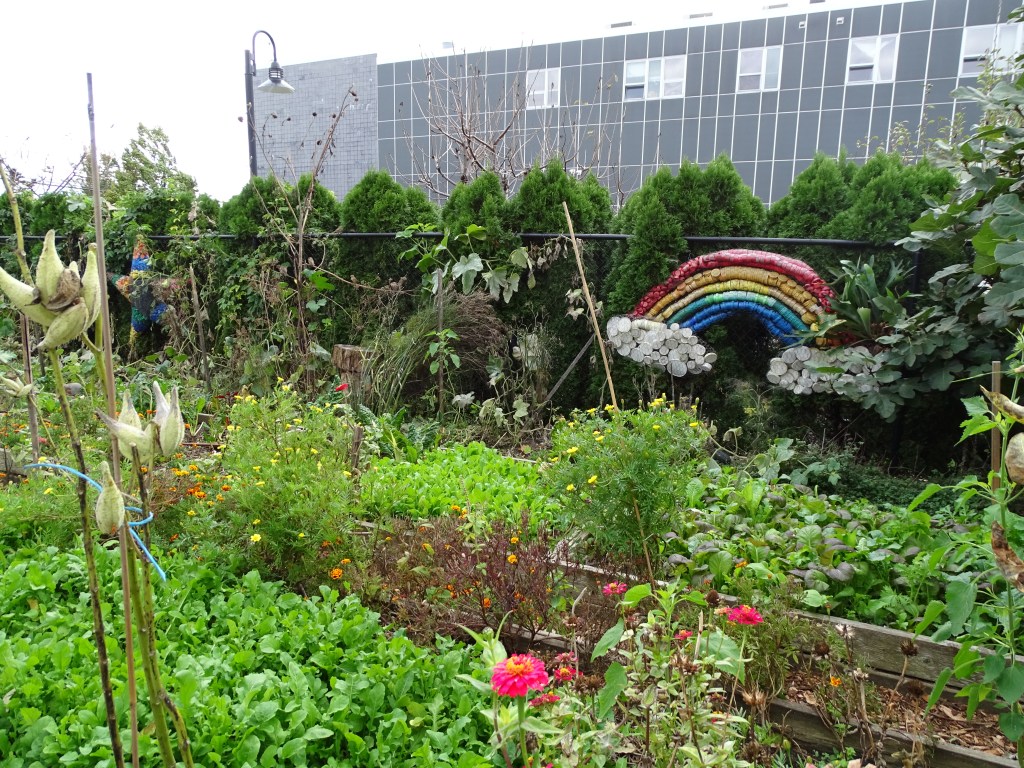 Kula Urban Farm garden