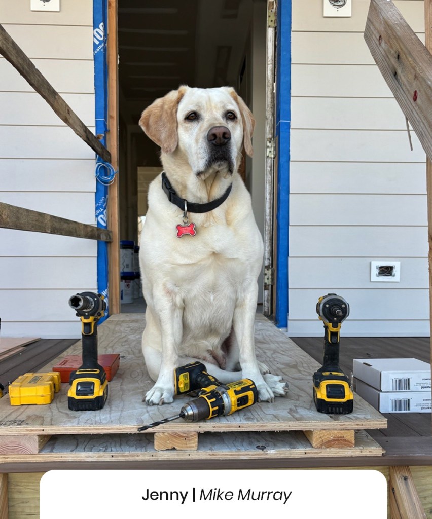 Jenny, Mike Murray's dog